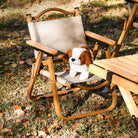 Chaise de jardin pliante en tissu Oxford pratique et légère - LeCoinChaise